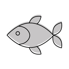 fish shop store market with freshness seafood meal vector illustration