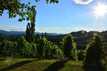 Saarland Trier