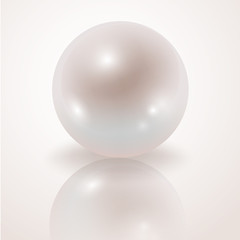 Pearl. White Pearl isolated on white background, decor, decoration