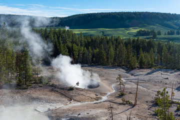 Geothermal activity in Yellowstone National Park