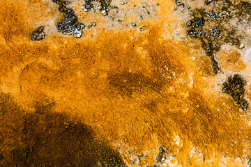Close up of orange algae in Yellowstone