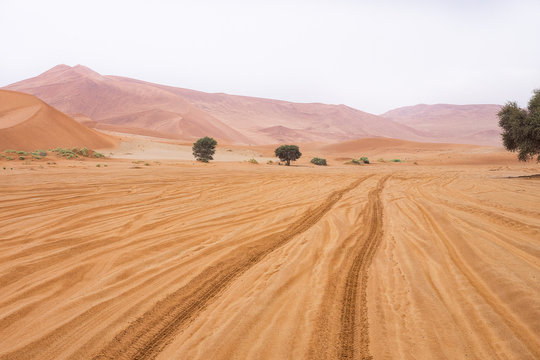 Namibia, Hardap, Sossusvlei, Reifenspuren in der Sossusvlei W&uuml;ste, 4x4 only, letzte f&uuml;nf Kilometer vor Dead Vlei