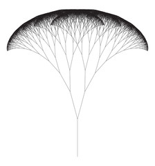 Flat Vector Computer Generated   L-system Fractal Tree - Generative Art 