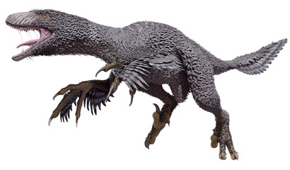 A 3d rendering of a feathered Dakotaraptor, isolated on a white background.