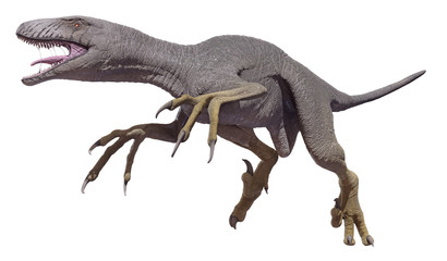 A 3d rendering of Dakotaraptor, isolated on a white background.