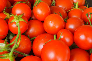 Ripe red  juicy Tomatoes  background.