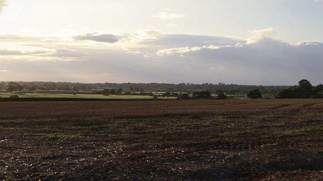 Rural autumnal landscape with brown mowed wheat field, Tarvin, Cheshire, England, UK. Overcast sky with pastures and trees in background.