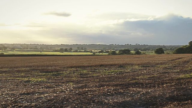Rural autumnal landscape with brown mowed wheat field, Tarvin, Cheshire, England, UK. Overcast sky with pastures and trees in background.