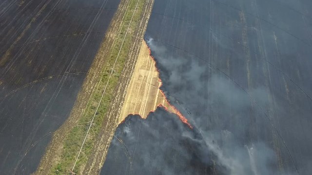 Fire in the field with stubble of wheat at sunset. Aerial survey