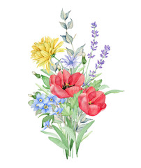 Watercolor Floral Bouquet. Meadow Flowers