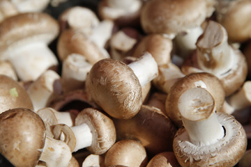 Crimini baby bells mushrooms for sale at the Farmers Market