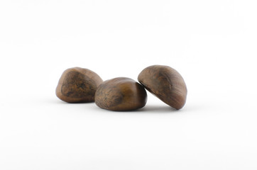   Chestnut on a white background