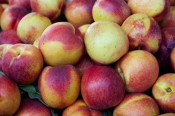 Nectarines in the farmers  market- background or texture