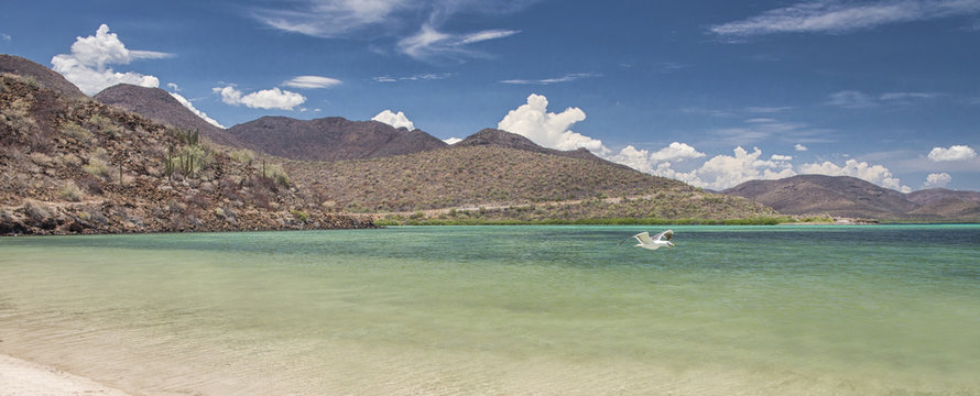 el requeson beach, concepcion bay, baja california sur. Mexico