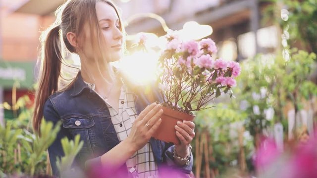 Woman Buying Flowers in a Sunlit Garden Shop. 4K. Young woman shopping for decorative plants on a sunny floristic greenhouse market. Home and Garden concept. 