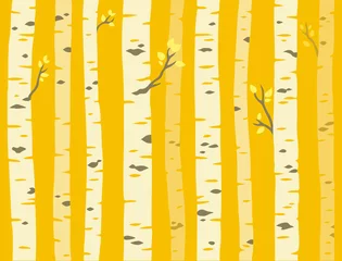 Printed roller blinds Birch trees Autumn aspen tree pattern
