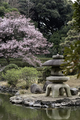 Obraz premium 日本庭園