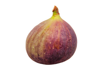 Fresh fig on a white background