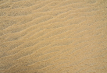 Textured sandy surface
