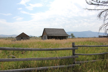 Cabin in grasses behind wooden fence