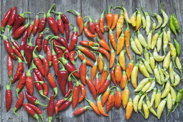Colorful chilli peppers on wooden table from red on left side to yellow on right. High angle view