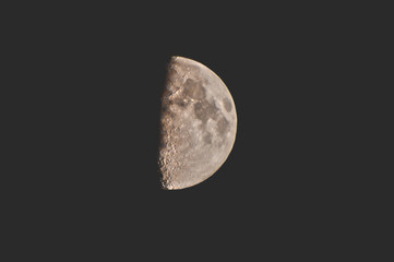 Luna piena