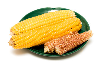 corn cob on white background