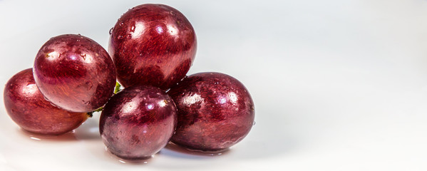 Uva rubi.