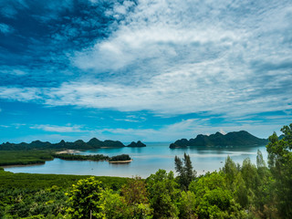 aerial view at the mangroves