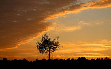 Beautiful summer sunset