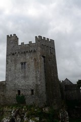 Fototapeta na wymiar Castle, Cahir, Ireland