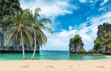 Naklejka na ściany i meble Coconut palms on the beach