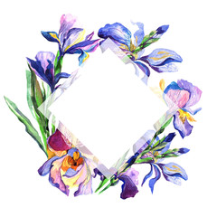 Wildflower iris flower frame in a watercolor style. Full name of the plant: fleur-de-lis. Aquarelle wild flower for background, texture, wrapper pattern, frame or border.