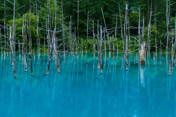 青い池