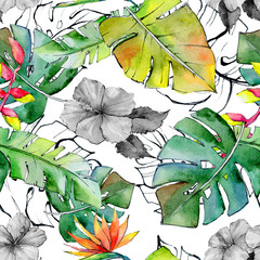 Fototapety  Tropikalny wzór liści Hawajów w stylu przypominającym akwarele. Aquarelle dziki kwiat dla tła, tekstury, wzoru opakowania, ramki lub obramowania.