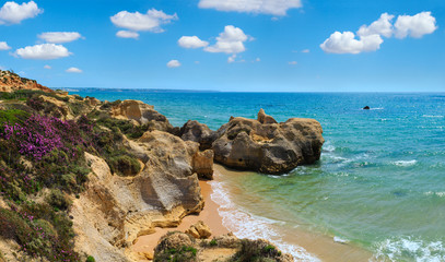 Atlantic blossoming coast (Algarve, Portugal).