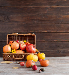 Panorama. Autumn harvest pumpkins on wooden background