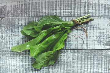A bunch of leaves of sorrel light on old wooden background. Copy space.