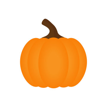 Orange pumpkin vector illustration. Autumn halloween pumpkin, vegetable graphic icon or print, isolated on white background.