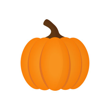 Orange pumpkin vector illustration. Autumn halloween pumpkin, vegetable graphic icon or print, isolated on white background.