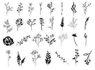 Set of Floral Elements