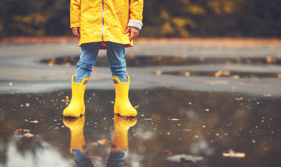 legs of child in yellow rubber boots in  puddle in autumn.