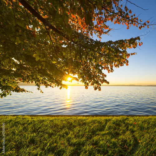 Evening On The Lake The Rays Of The Sun Shine Through The
