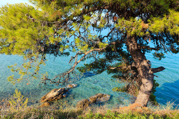 Obraz na płótnie Canvas Summer sea coast (Halkidiki, Greece).