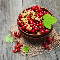 Bowl with red currant