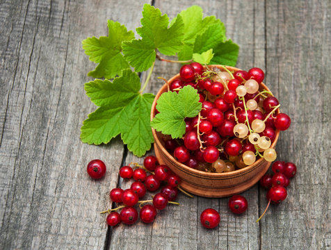 Bowl with red currant