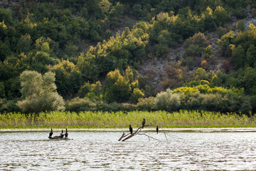 Skadar Lake, Montenegro