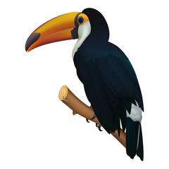 Toucan bird isolated on white. Photo realistic, 3d vector icon