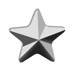 Silver Star Icon