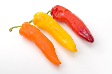 パレルモ（イタリアンパプリカ）